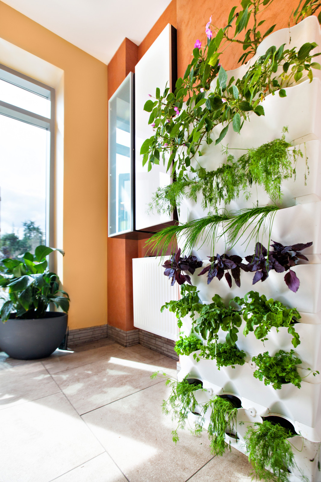 Дом в эко стиле