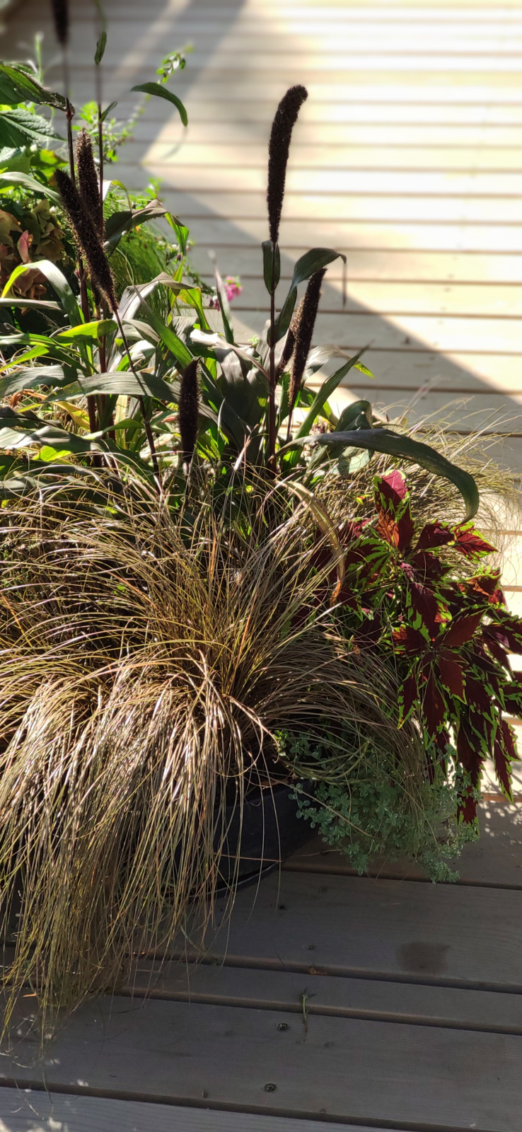 Проект " В тонких линиях "