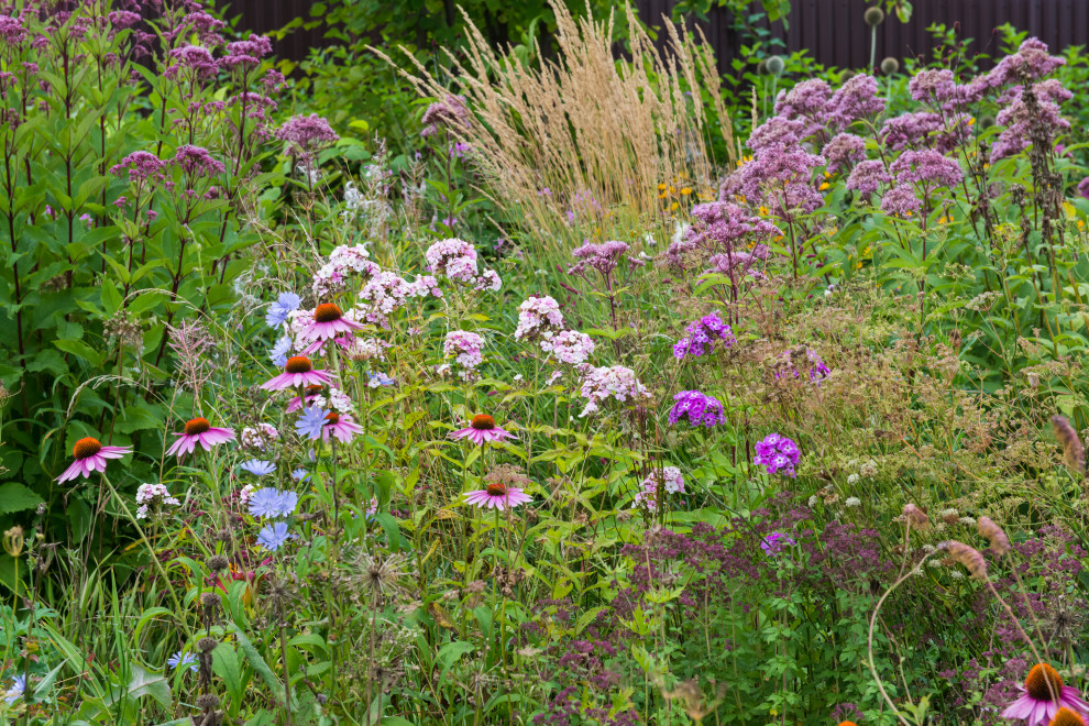 Многолетники