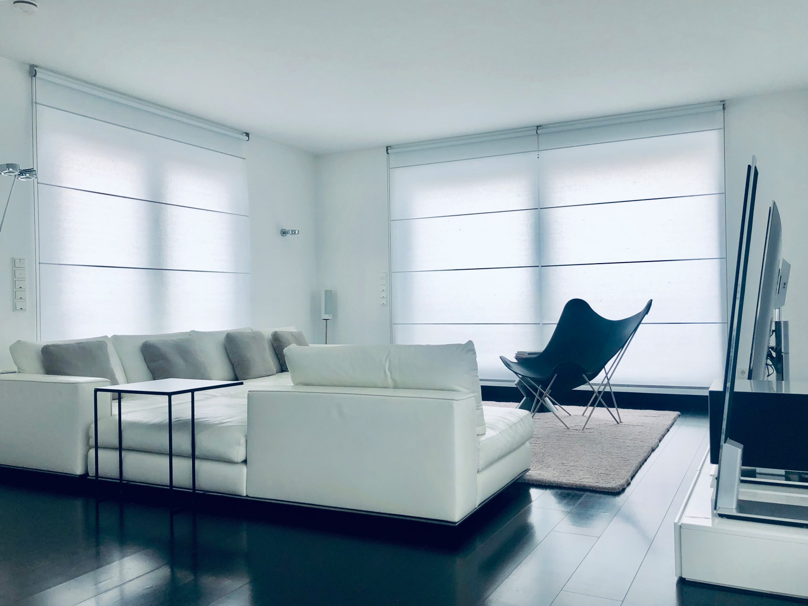 Фоновое изображение профиля Washi & Co