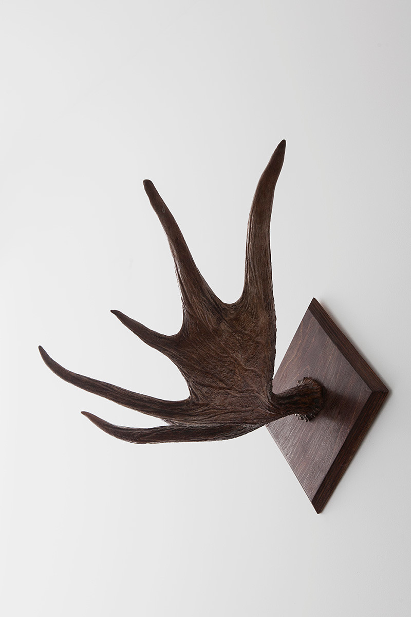 Проект №112. Съёмка квартиры для архитектурного бюро Shkaff