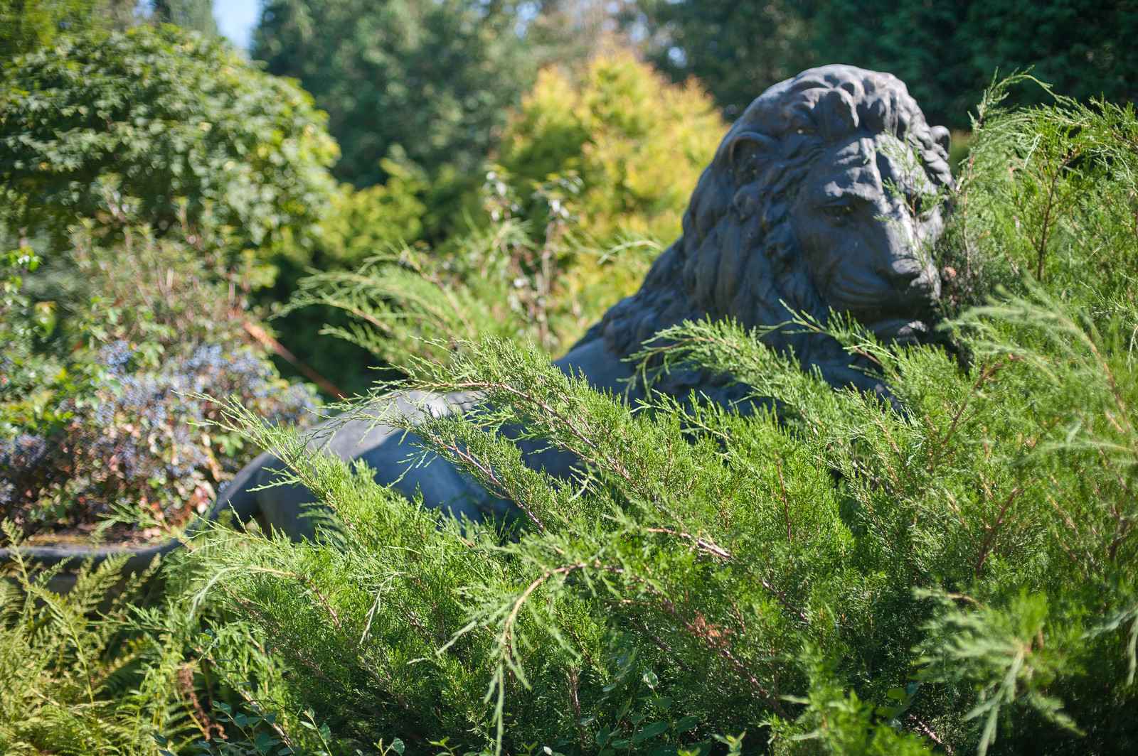 Екатерина Болотова