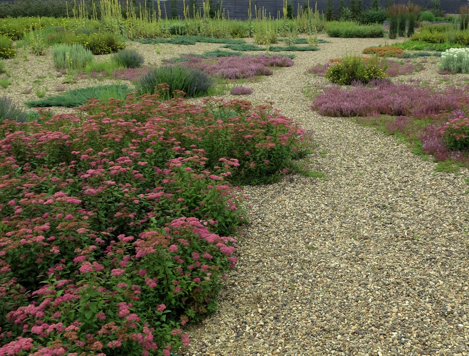 Полынный берег