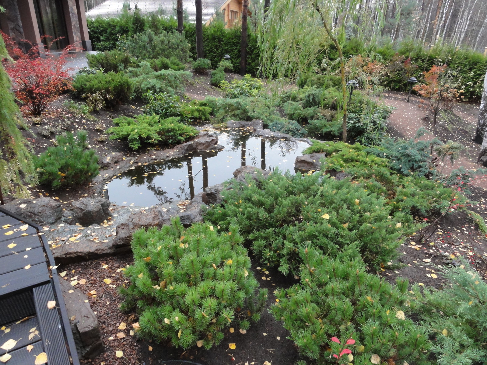 Обложка проекта: реставрация сада