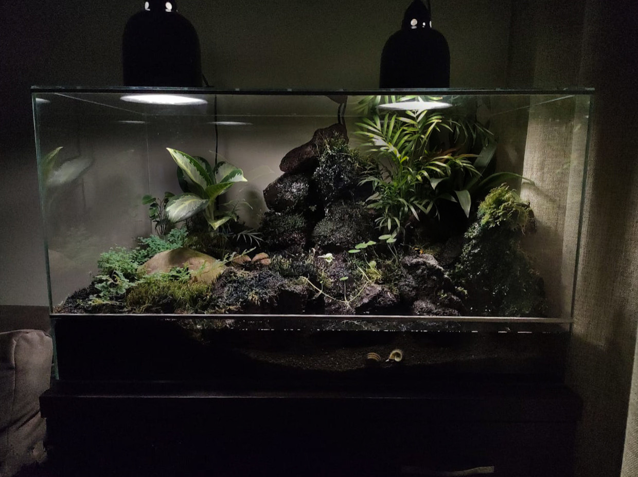 Флорариумы