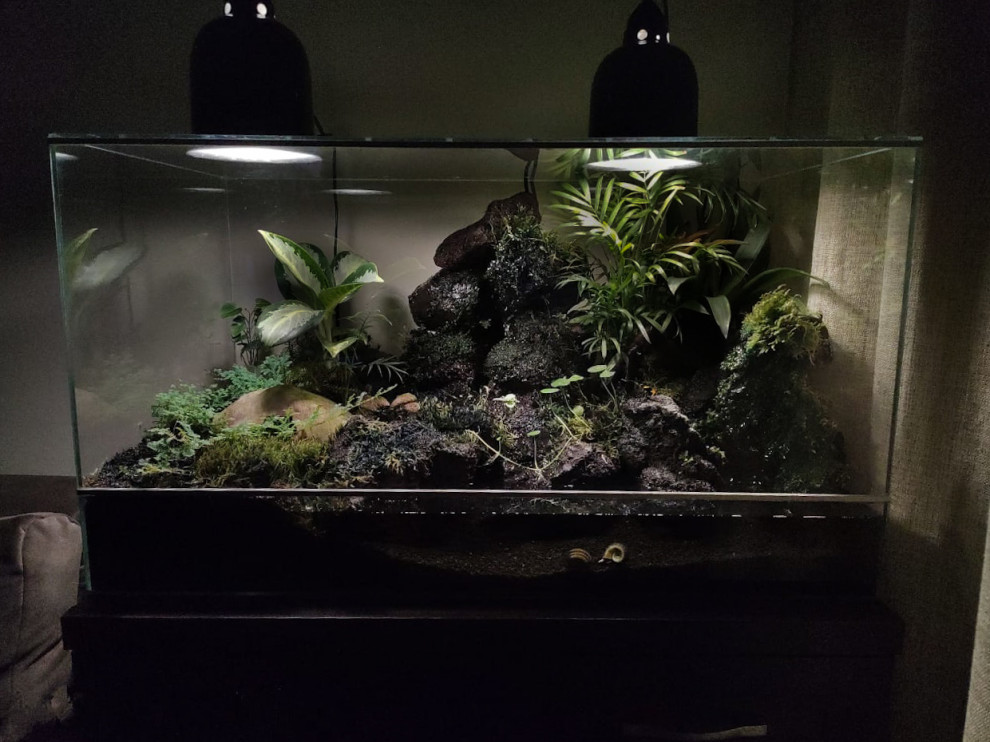 Флорариумы