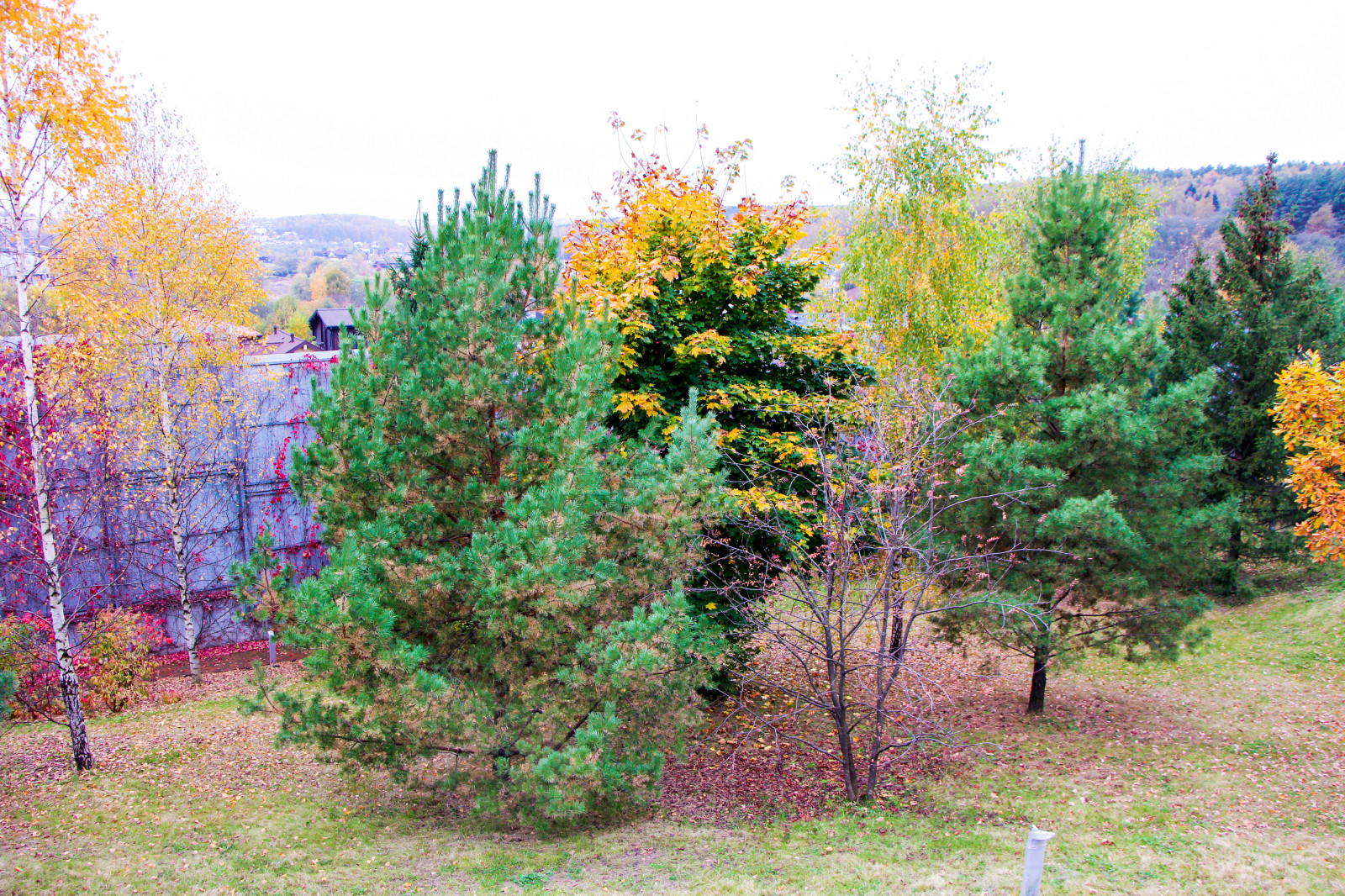 Лобаново, 2012-2021 гг.