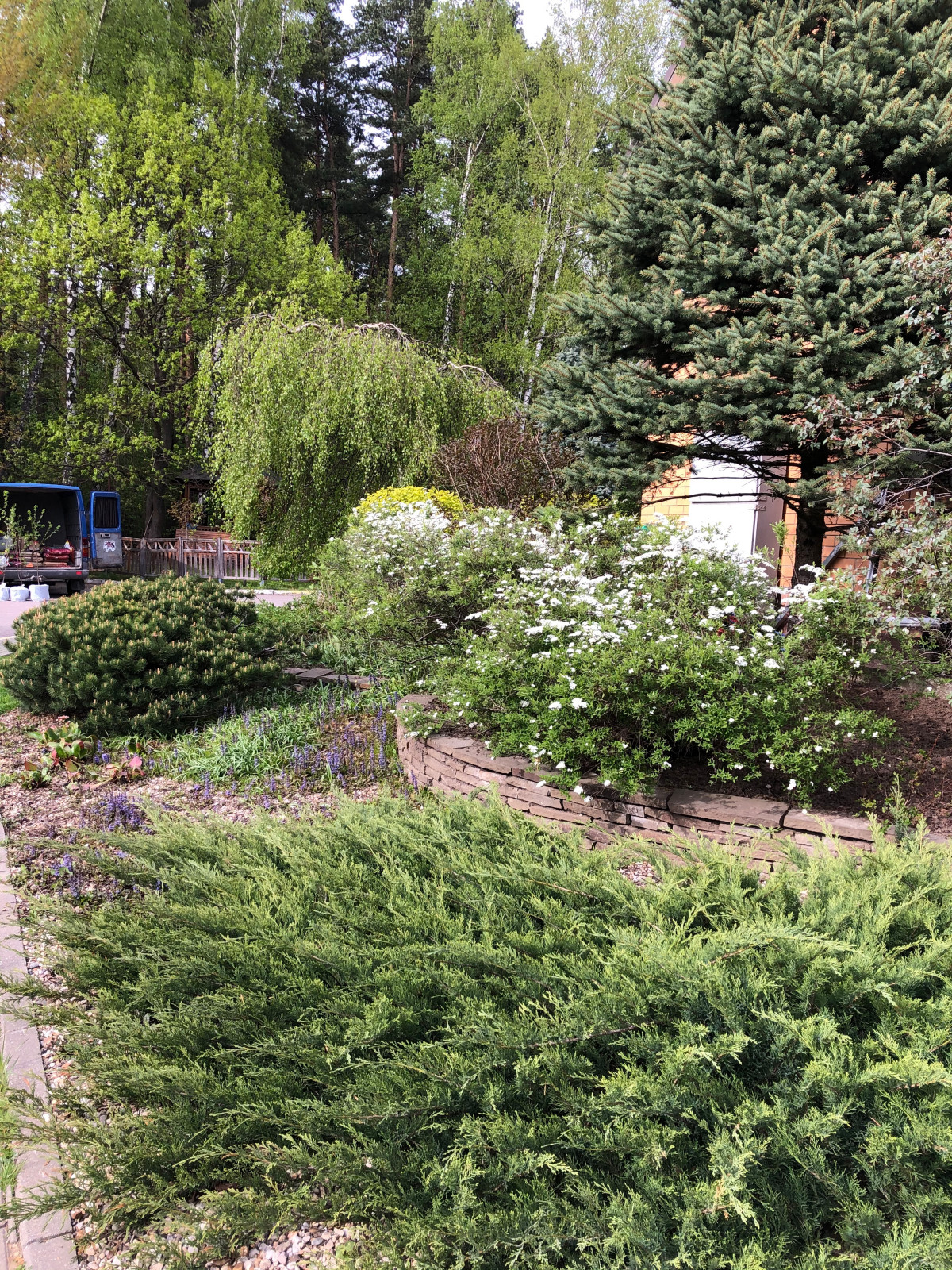 Обложка проекта: Княжичи