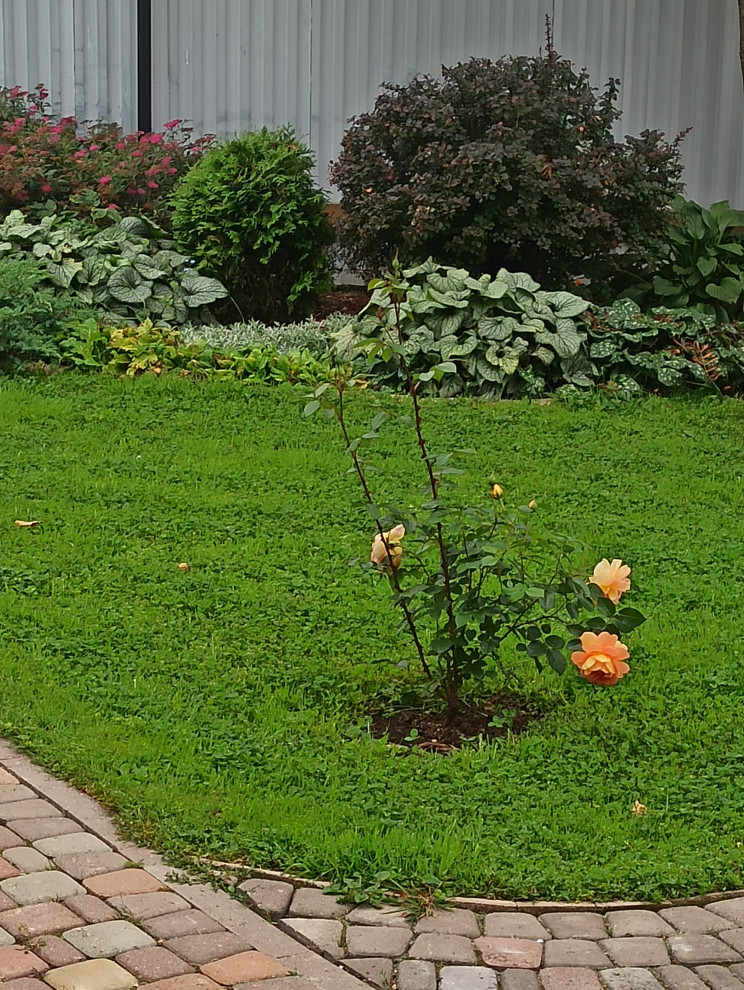 Ландшафт сада в 6 соток.