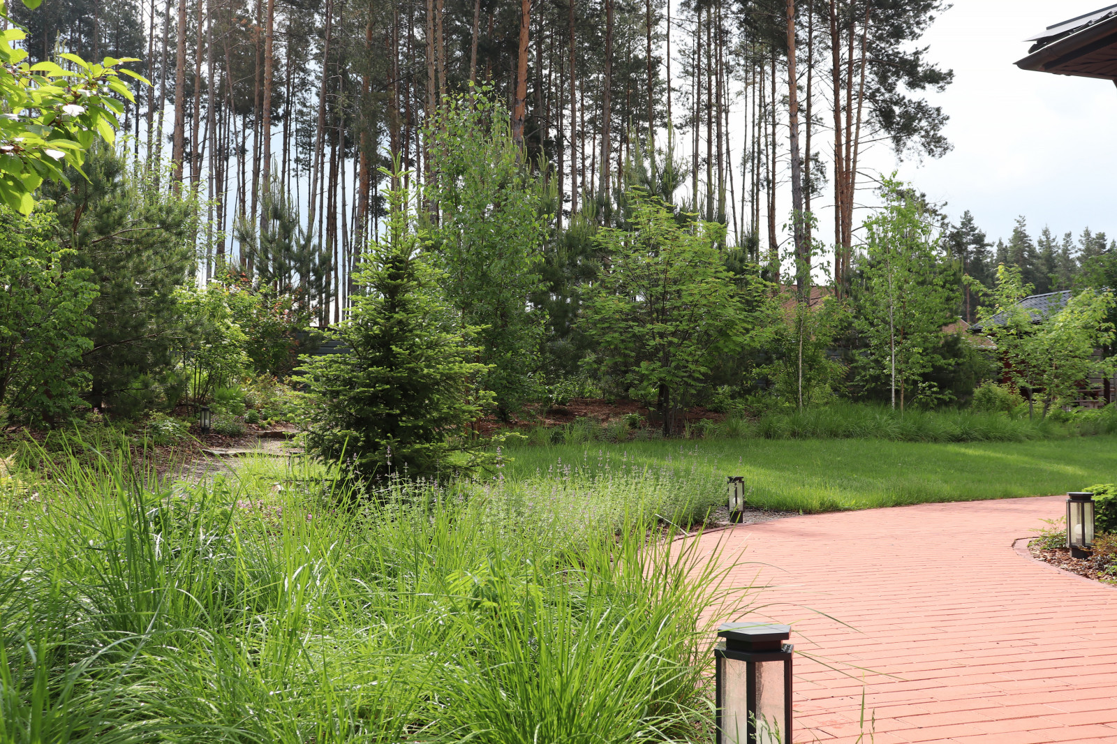 Русский лес