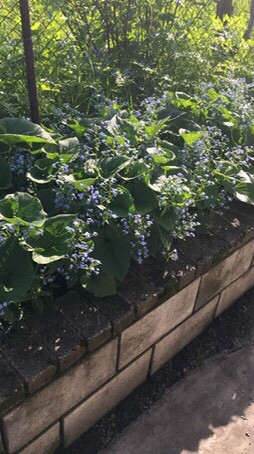 Обложка проекта: Вдохновение и эскизы