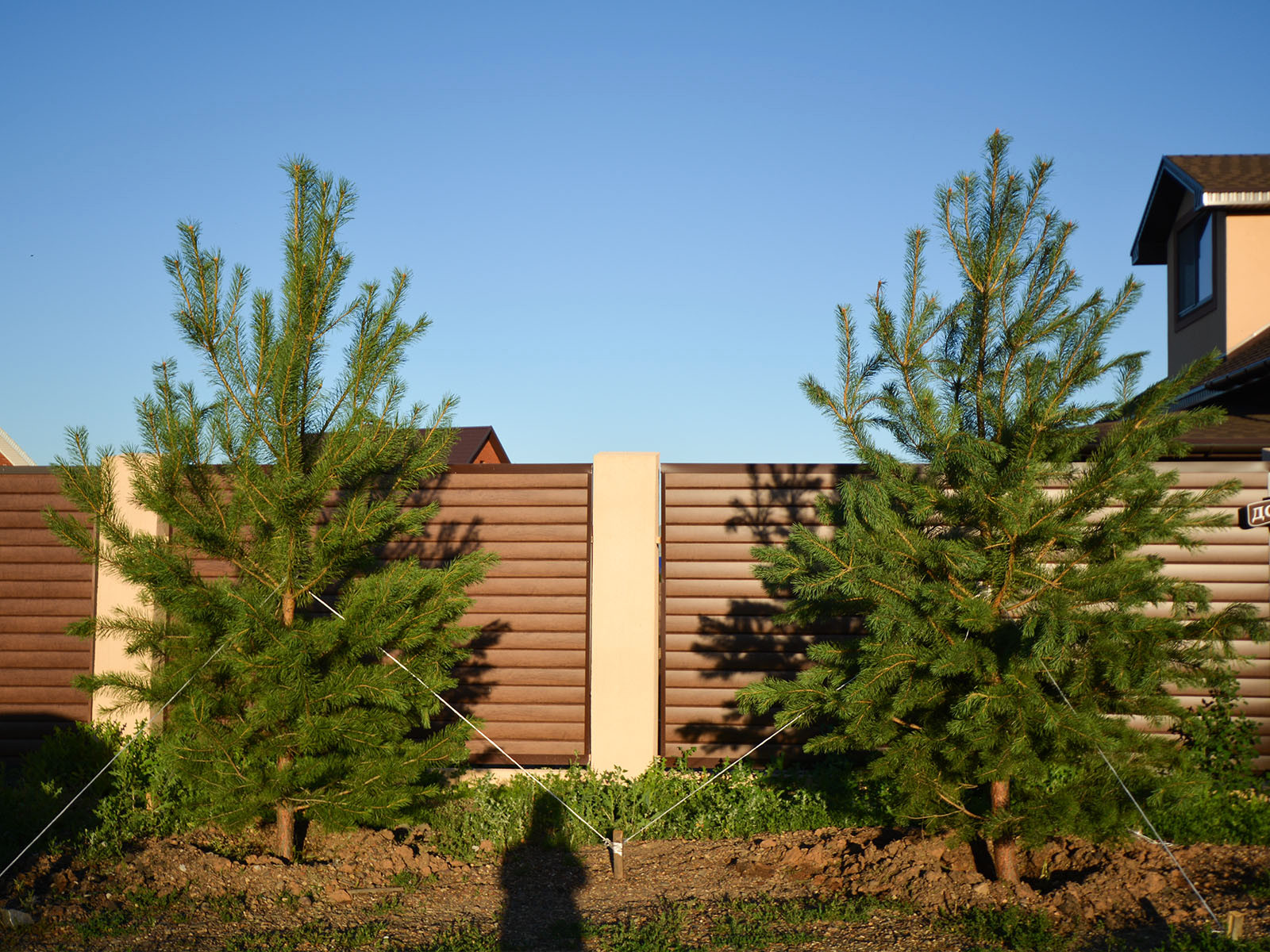 Посадка крупномеров