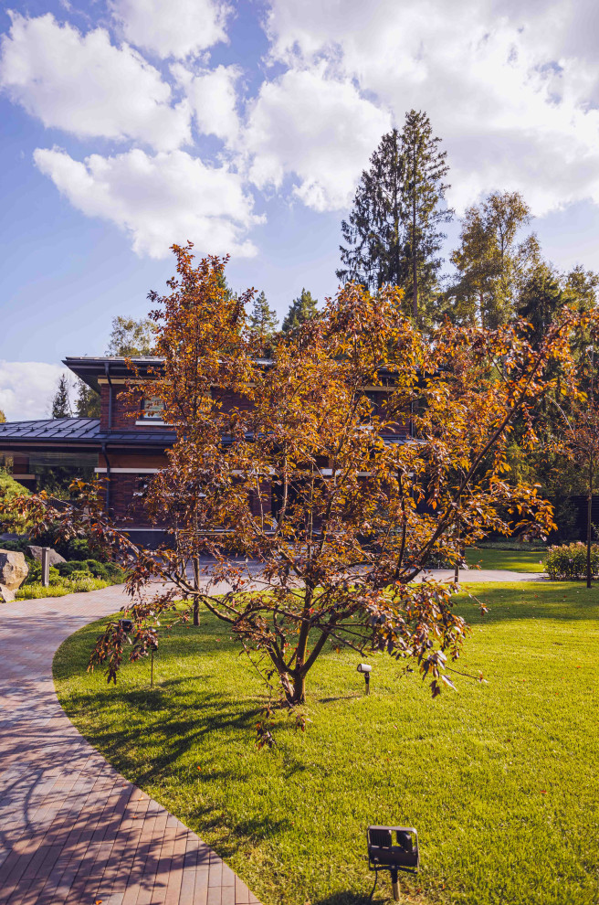 Архитектурное Решение в Пейзажном Стиле