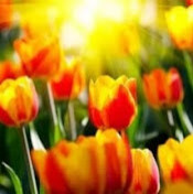 Екатерина Кан