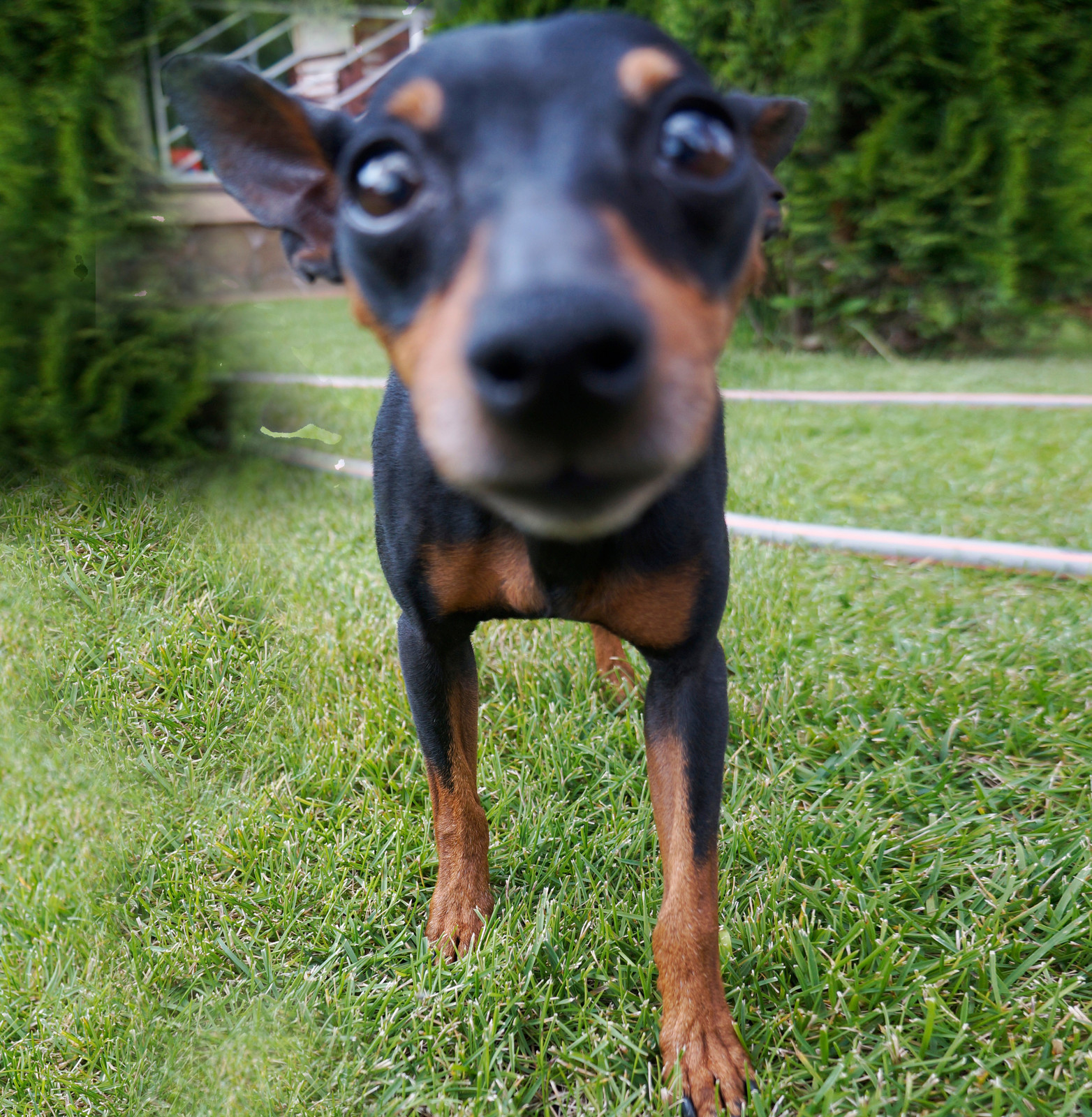 КП Воскресенское