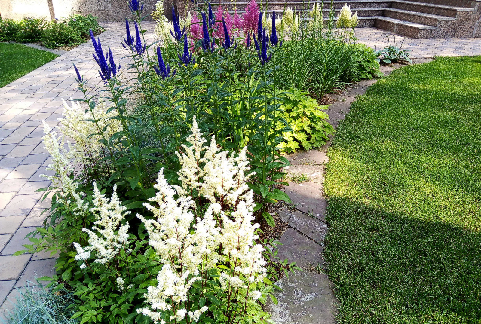 Цветники под пологом леса