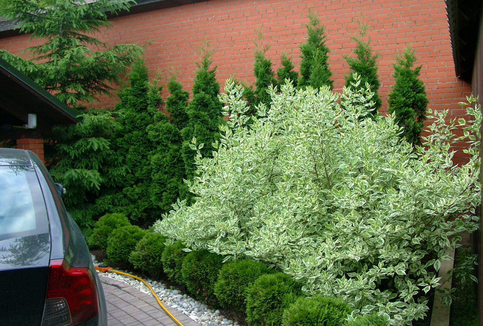 Ландшафтный дизайн участка 6 соток - оформление въздной зоны.