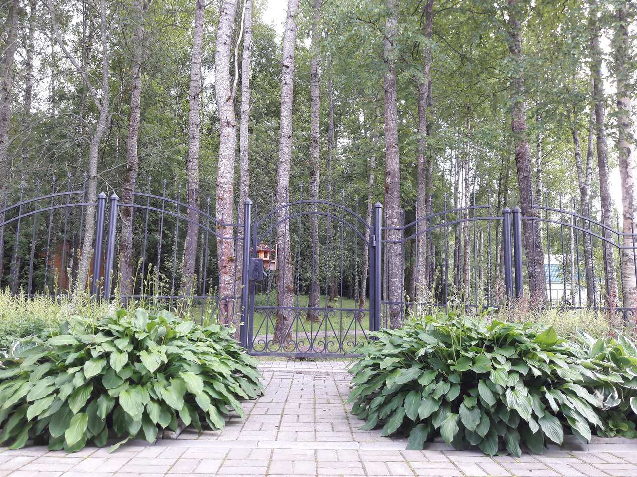 Сад  на холмах