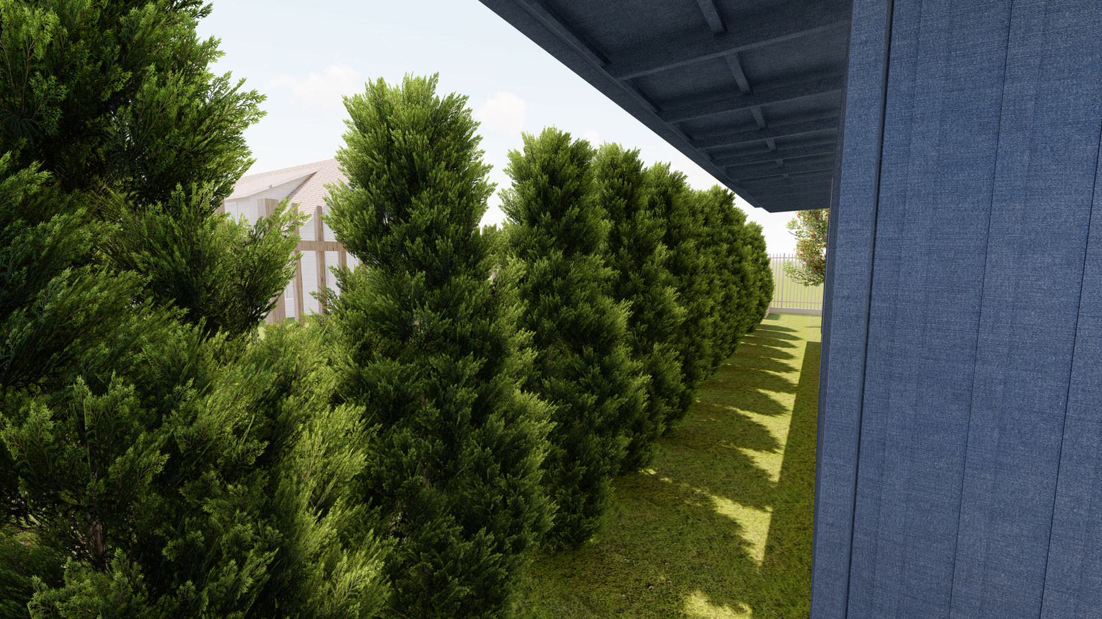 Участок Новая Рига 2 вариант.Хвойные