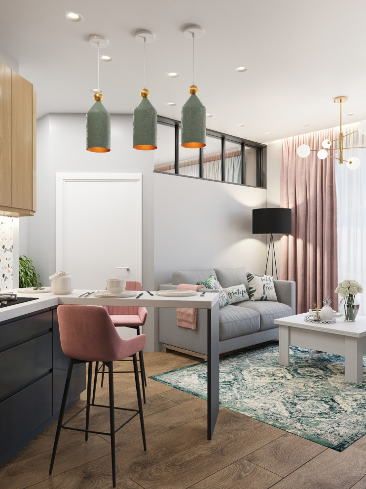 Проект квартиры для молодой девушки