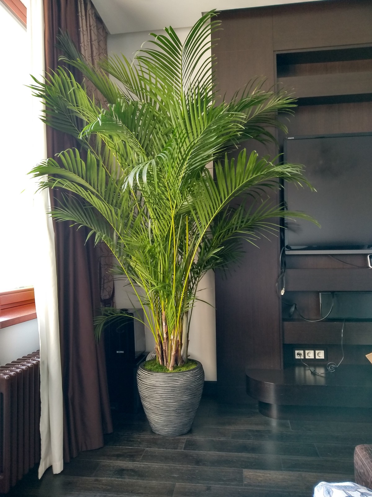 Частные аппартаменты