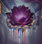 Алина Купченко