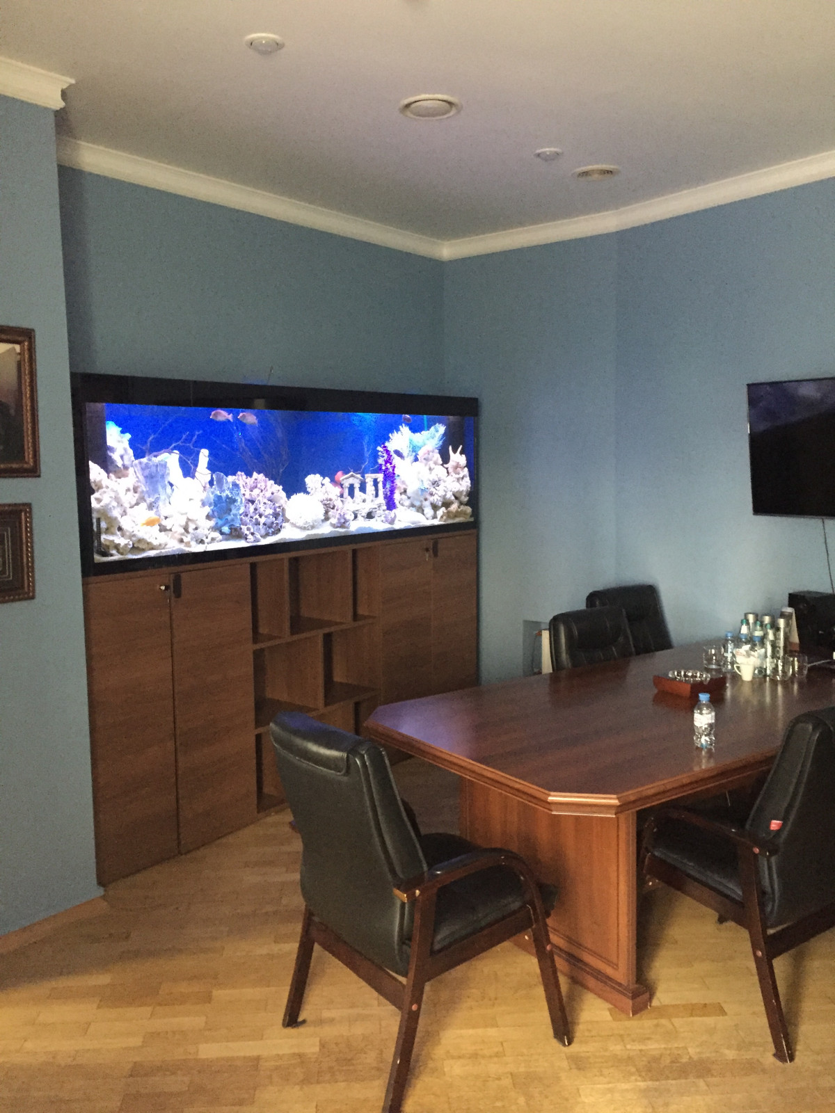 Уютный Аквариум