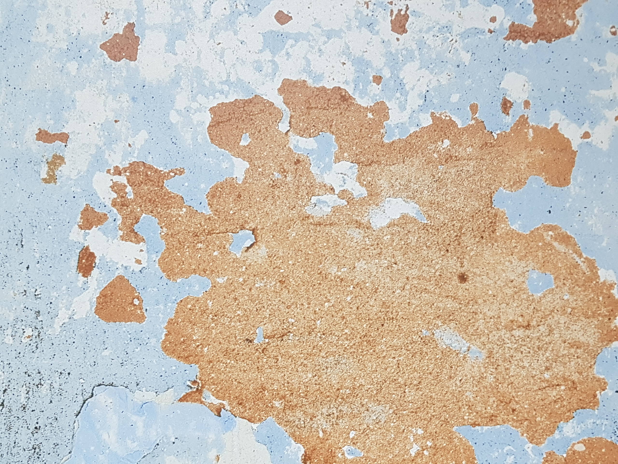 Cevisama-2018: Все тенденции в плитке и керамограните