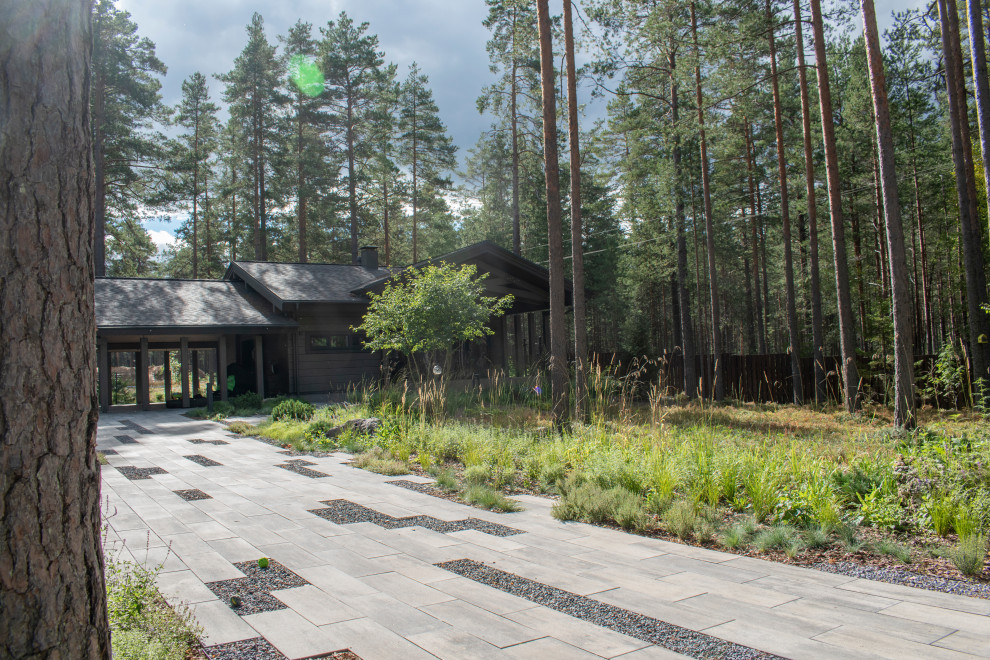 Проект "Волшебное озеро"