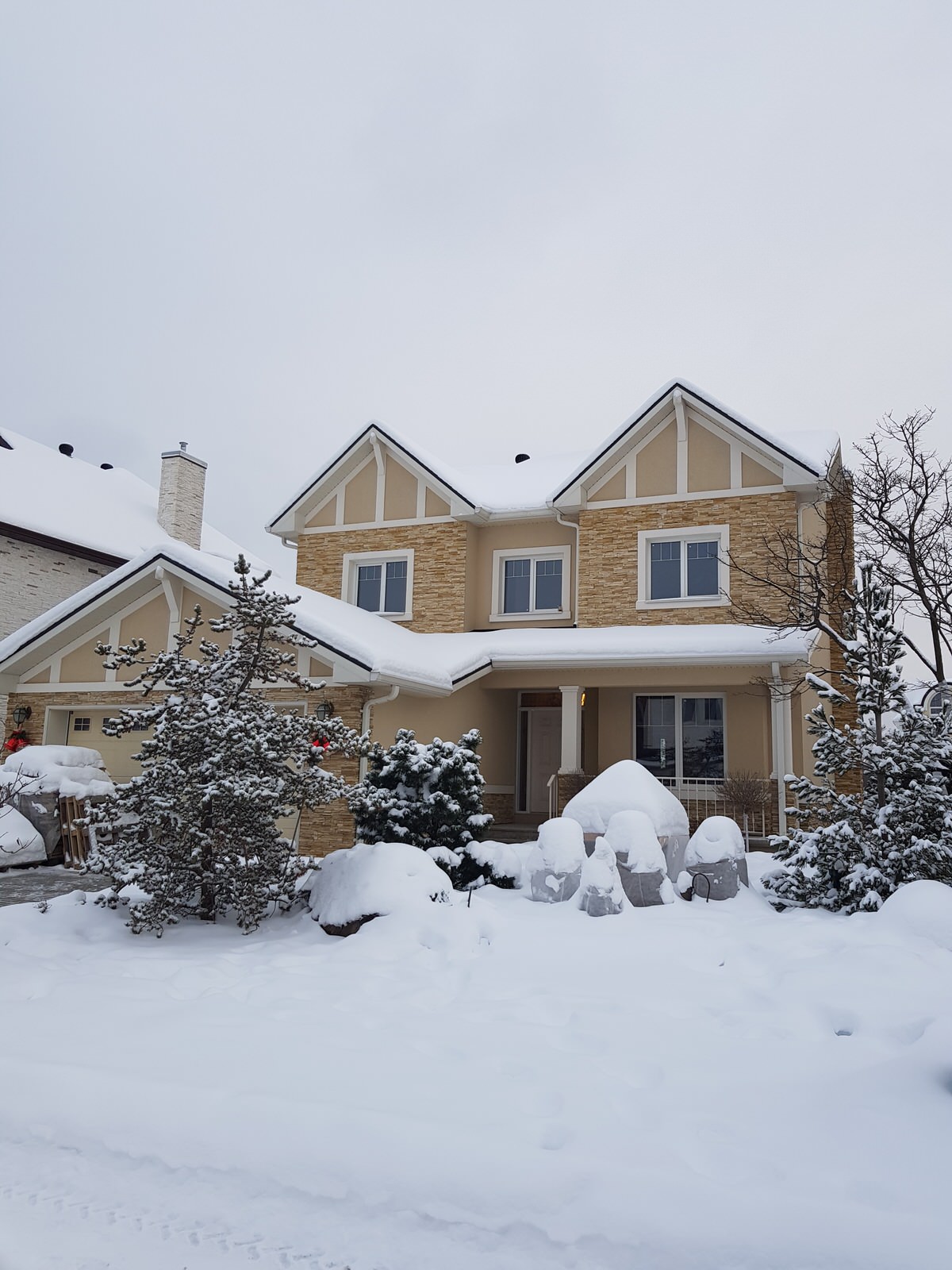 Обложка проекта: ЖК "Новые Вешки"