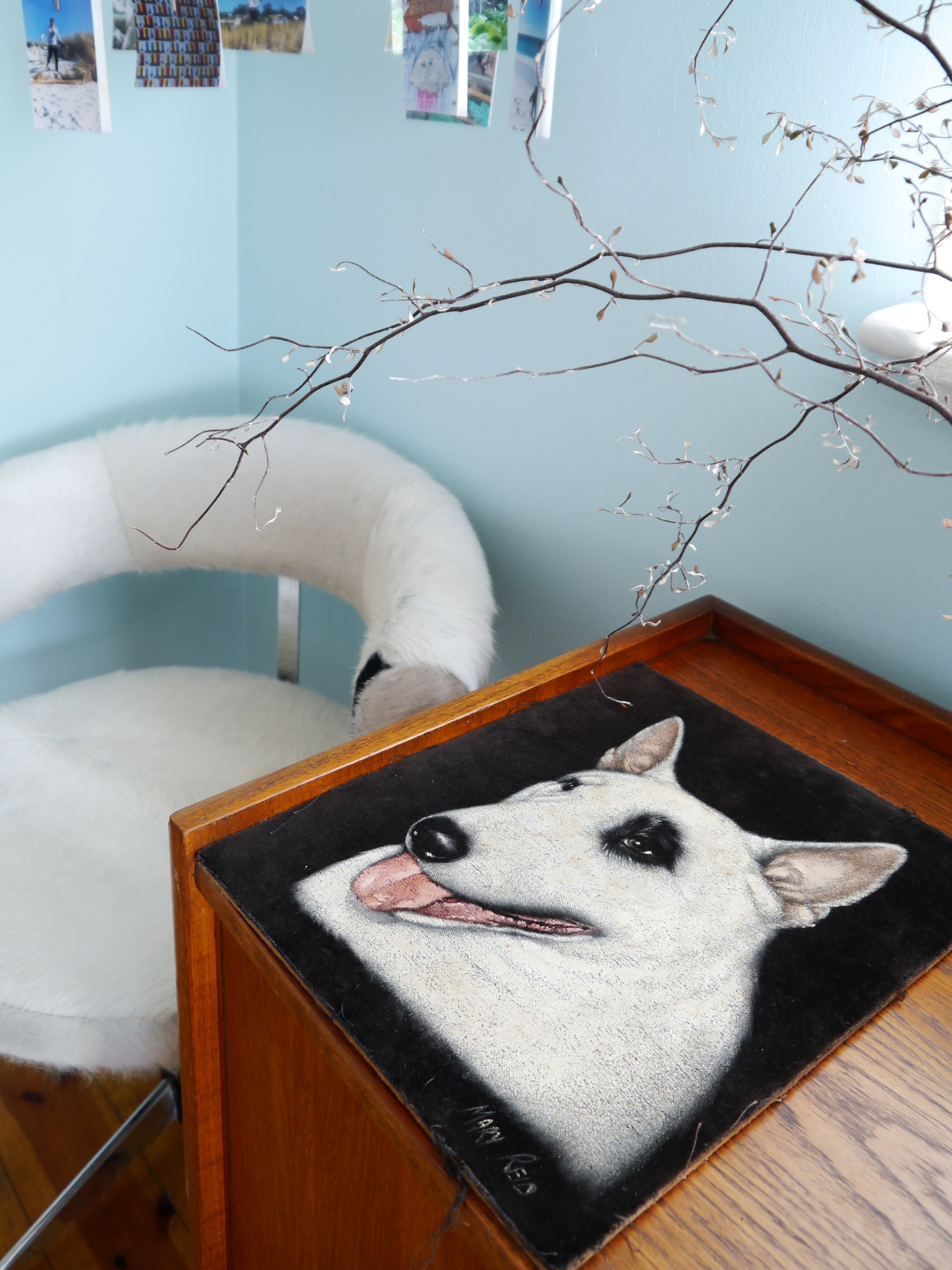 Houzz Австралия:  Коттедж со старинной мебелью в Мельбурне