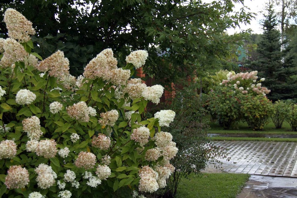 Сад сезонов в Вороново