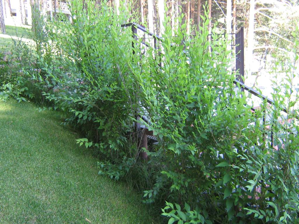 на побережье