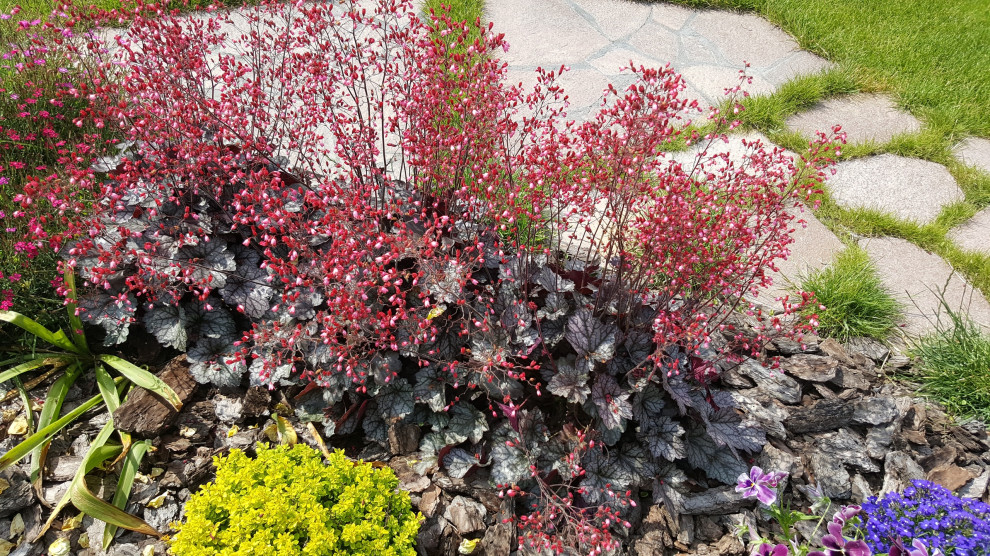 Обложка проекта: Берег