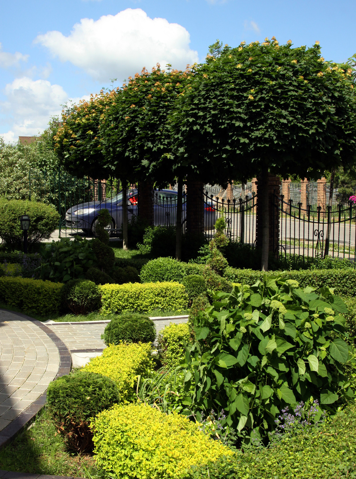 Коттеждный сад. Игры с цветом.