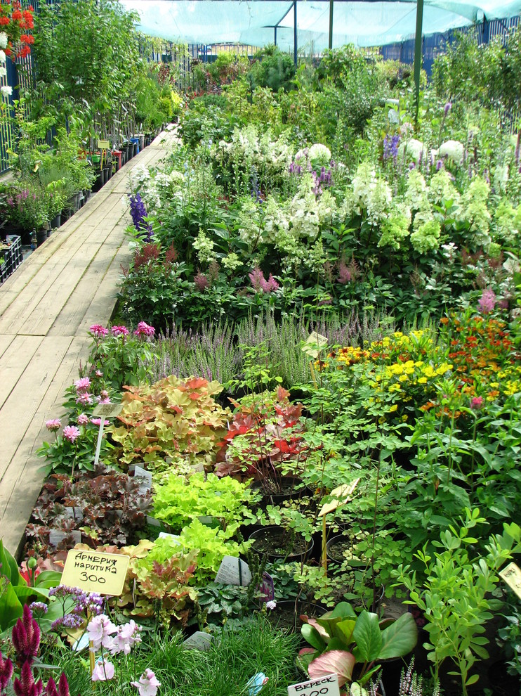 Наша продукция