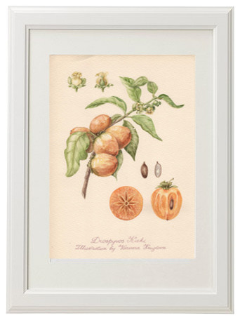 Обложка проекта: Серия ботанических иллюстраций