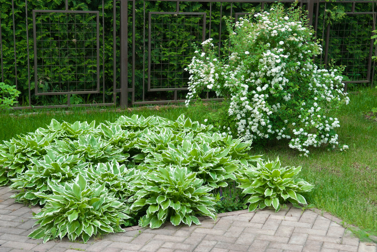 Новый свет, 18 соток