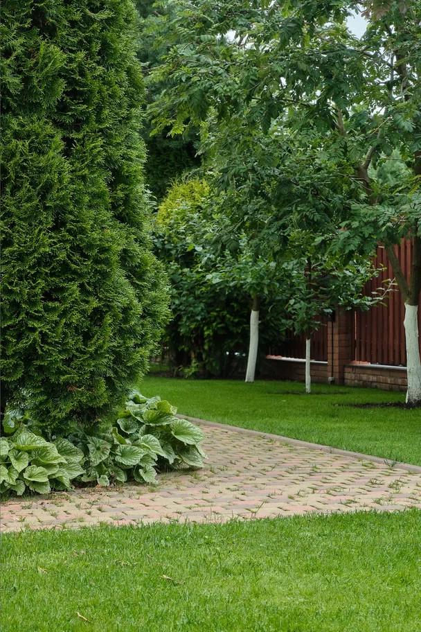 Обложка проекта: Ладожское