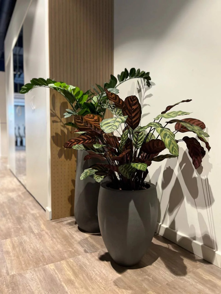 Офис Технодинамика г. Москва