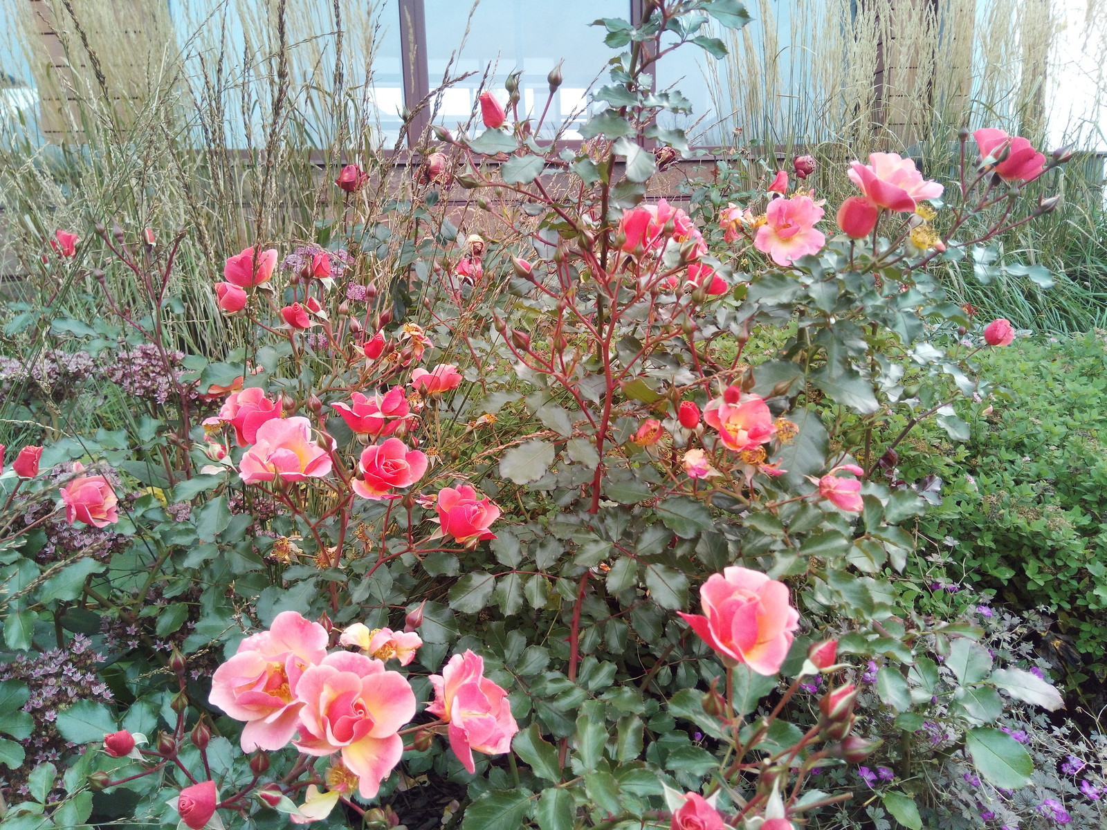 кп "Мартемьяново" - Профессиональный уход за садом - 100% качество!