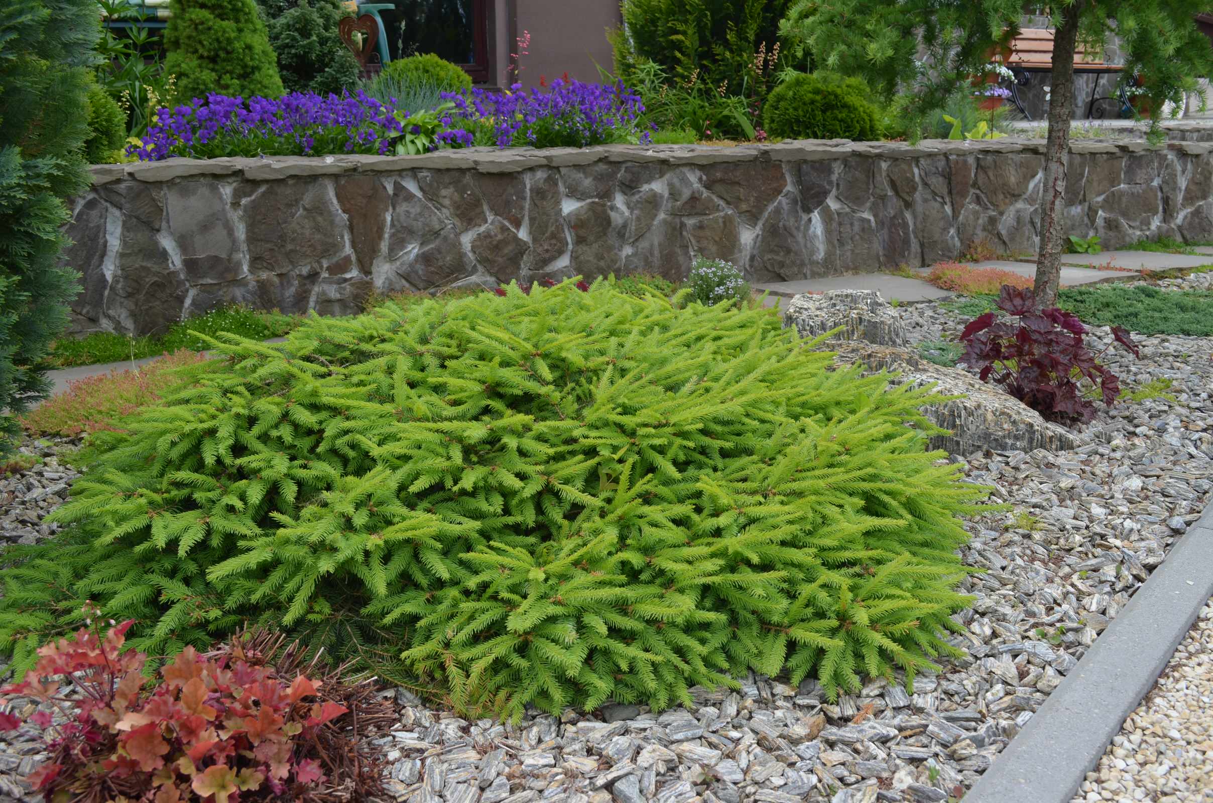 Сад "Ароматы Прованса"