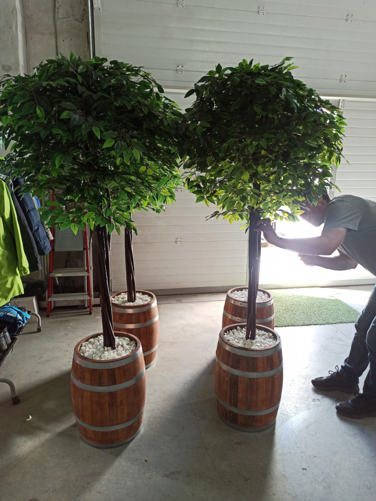 Обложка проекта: Деревья (*штамб) для фитнес-центра "Пул энд Жим"