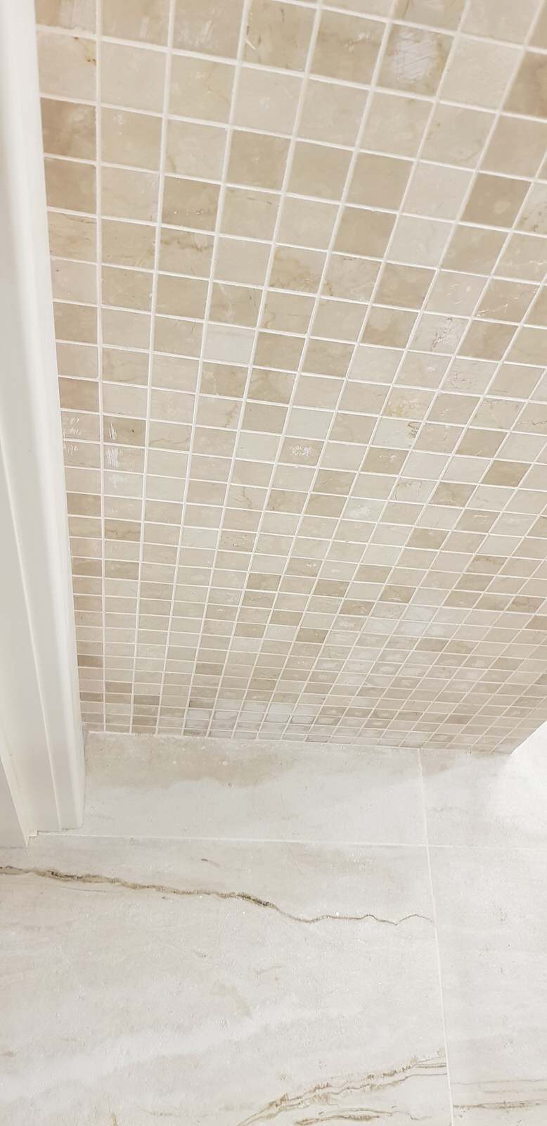 Обложка проекта: Санузел в коттедже