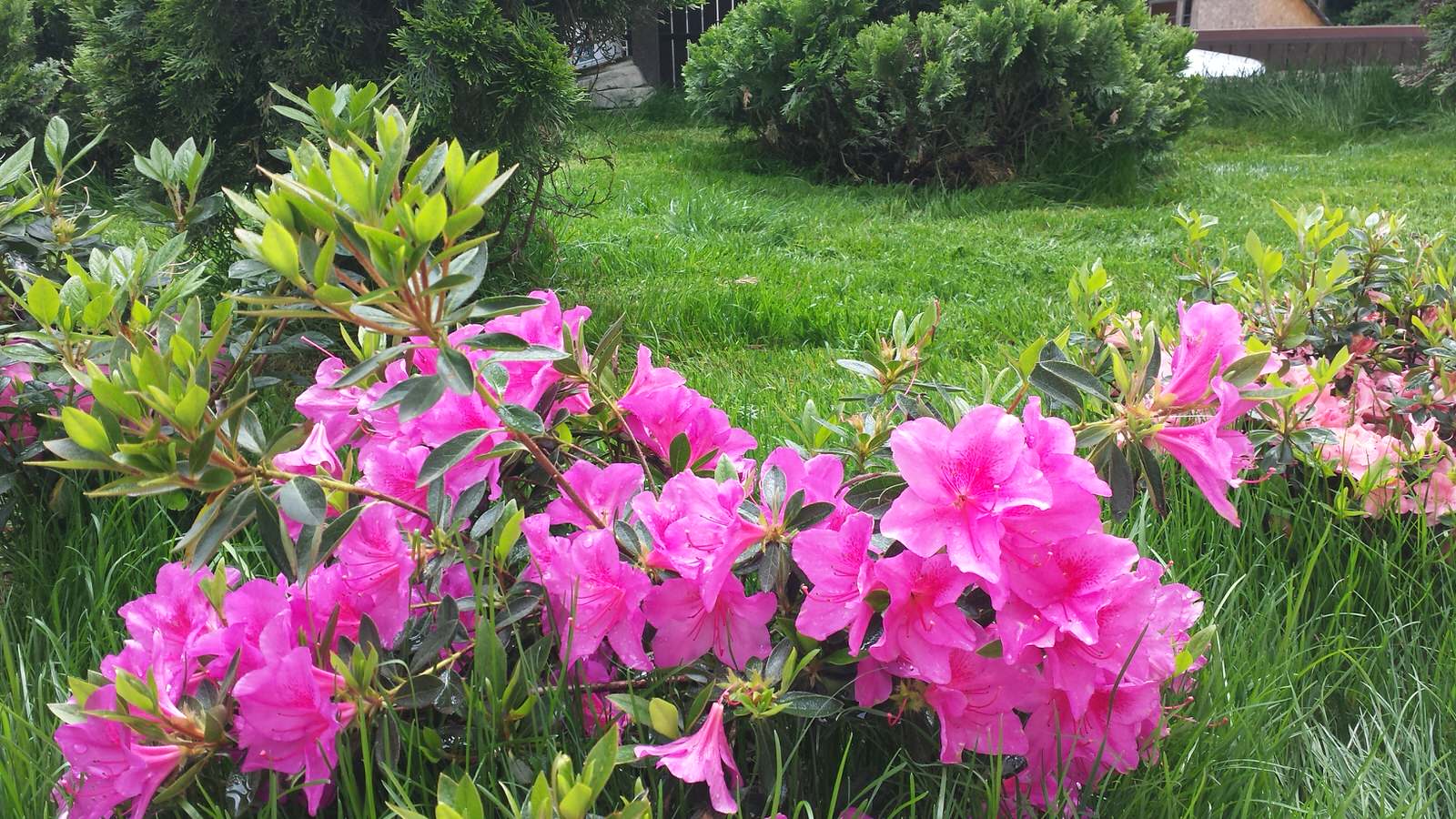 Благоуствойство частного домовладения