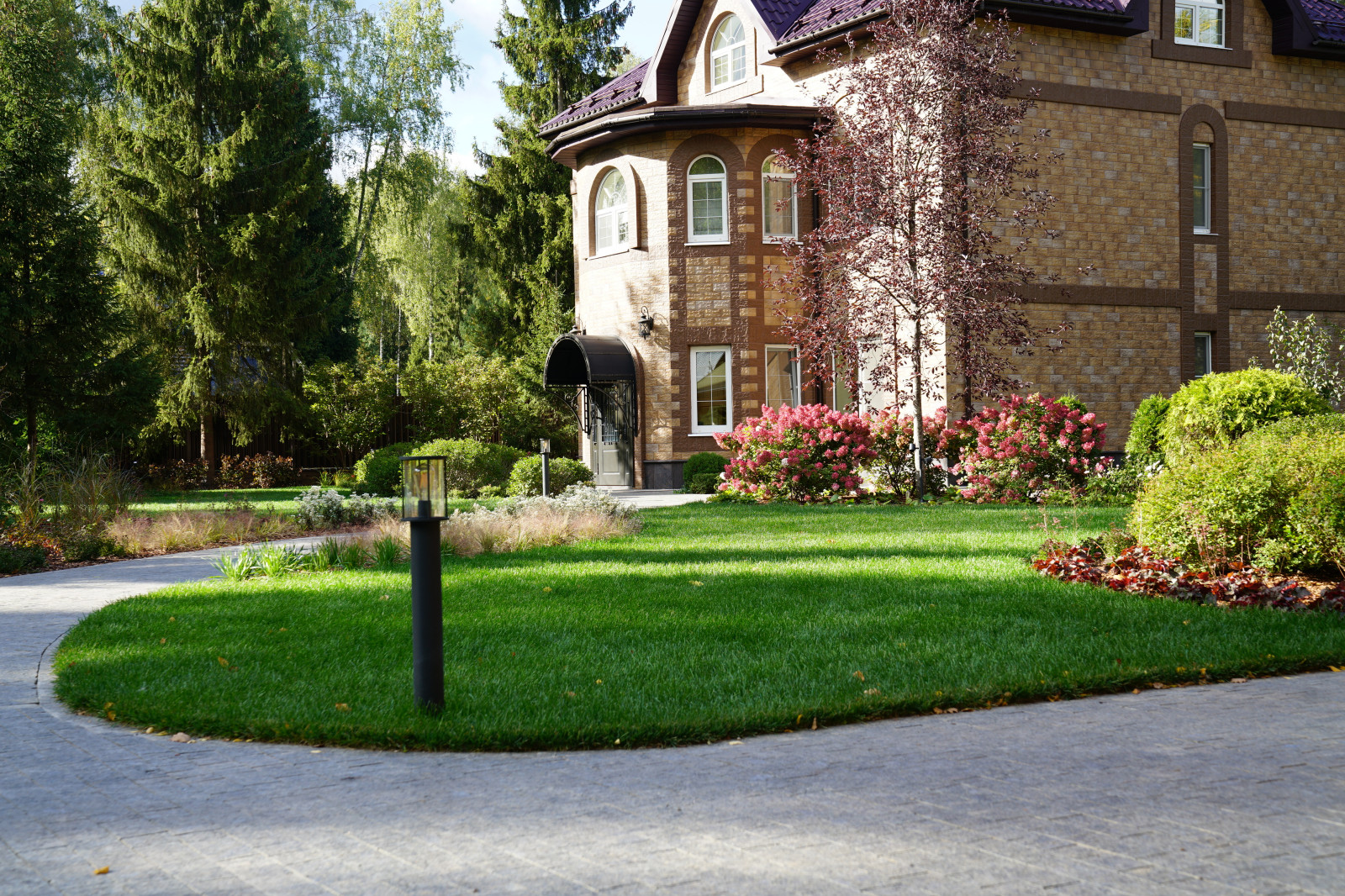 Таймлайн: 11 месяцев на реконструкцию сада 45 соток