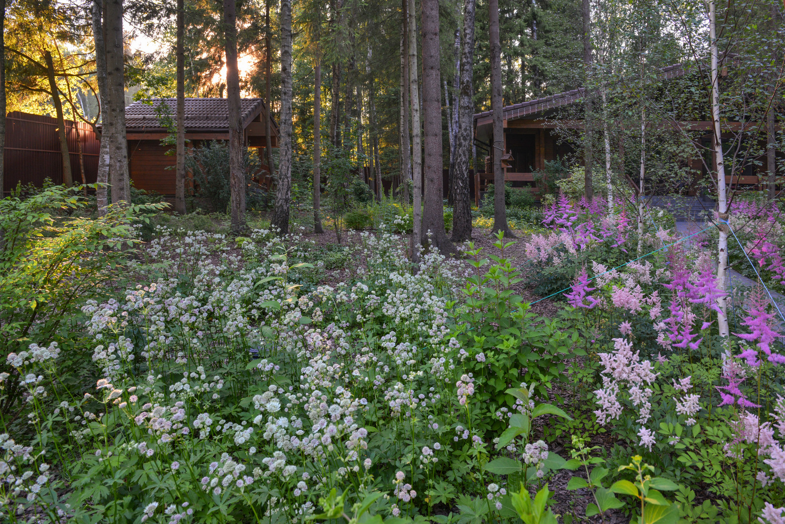Благоустройство лесной (частной) территории