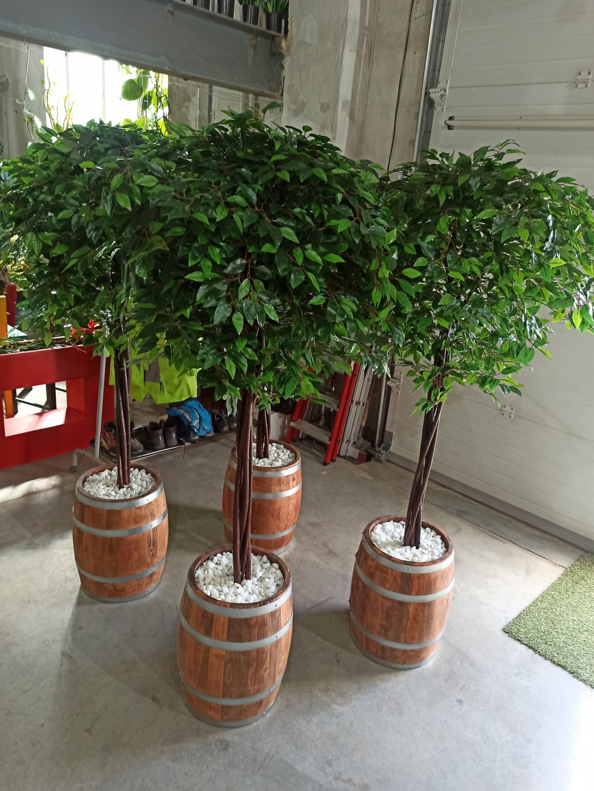 Деревья (*штамб) для фитнес-центра "Пул энд Жим"