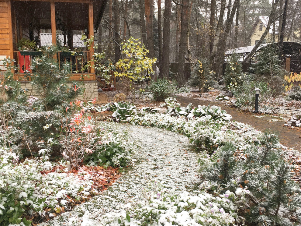 Белкин Сад. Предзимье 2019