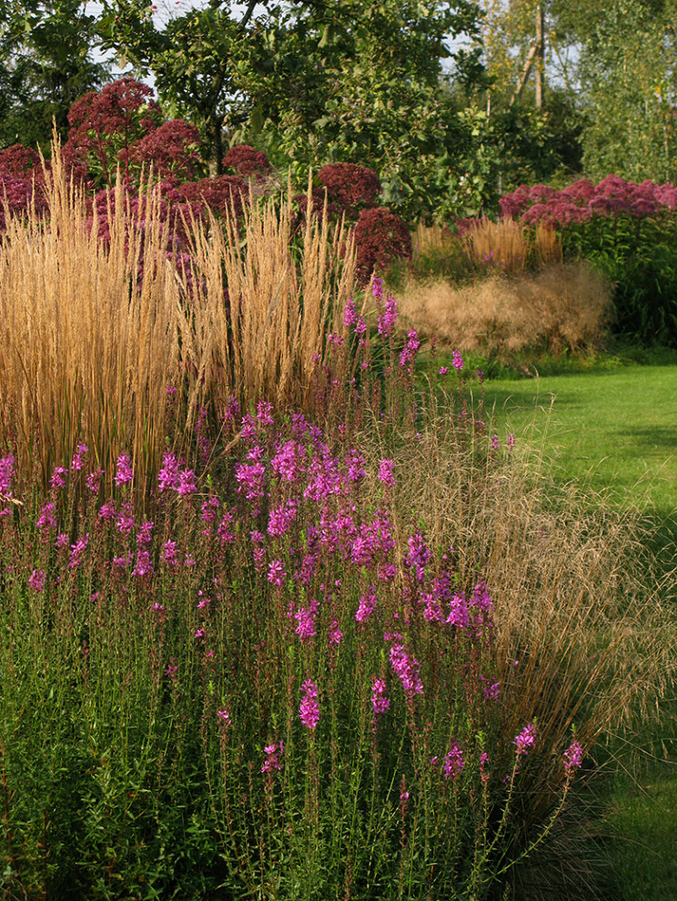 Houzz Белоруссия: Сад в тумане